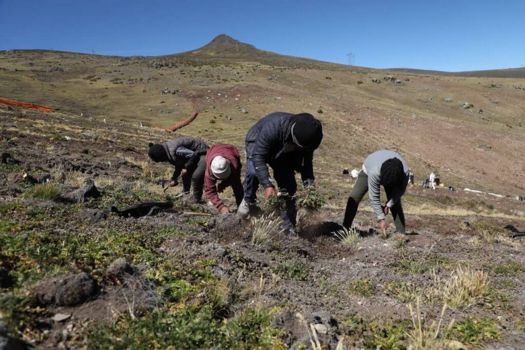 mountain-maca-farmer